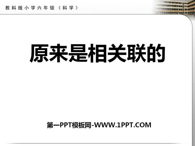《原来是相关联的》生物的多样性PPT课件2
