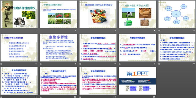《生物多样性的意义》生物的多样性PPT课件5