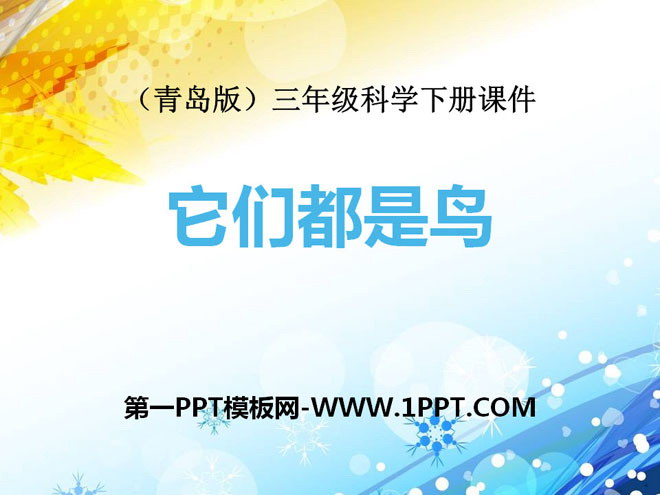 它们都是鸟PPT