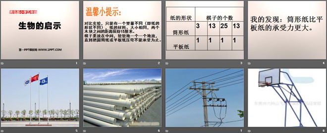 《生物的启示》PPT
