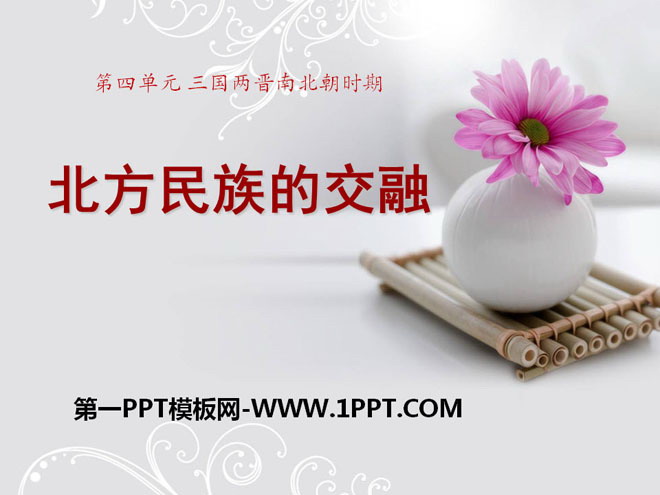 《北方民族的交融》三国两晋南北朝时期PPT课件2