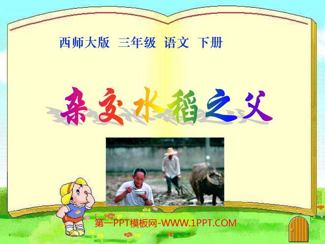 《杂交水稻之父》PPT课件
