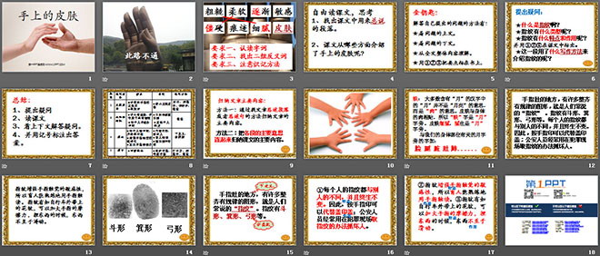 《手上的皮肤》PPT课件5
