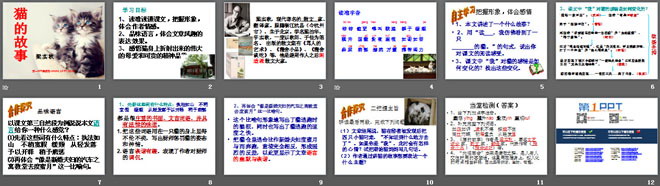 《猫的故事》PPT课件2