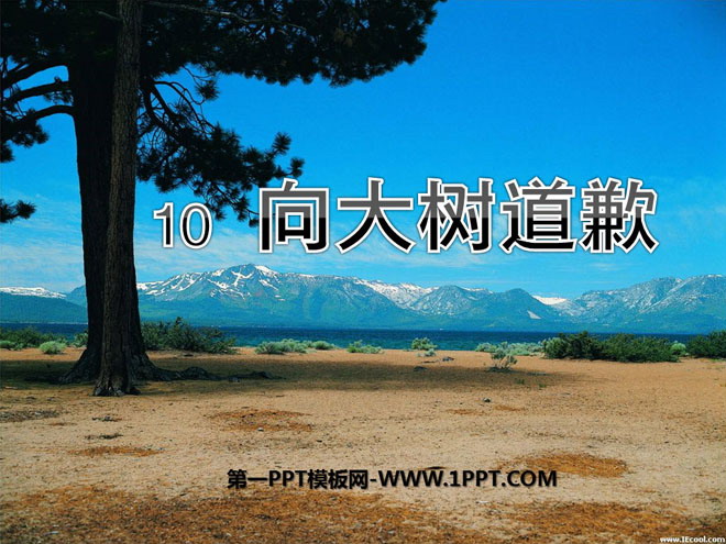《向大树道歉》PPT课件4