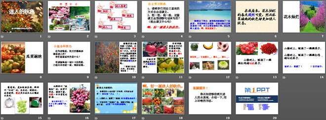 《迷人的秋色》PPT课件4