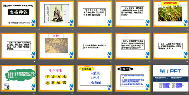 《炎帝种谷》PPT课件
