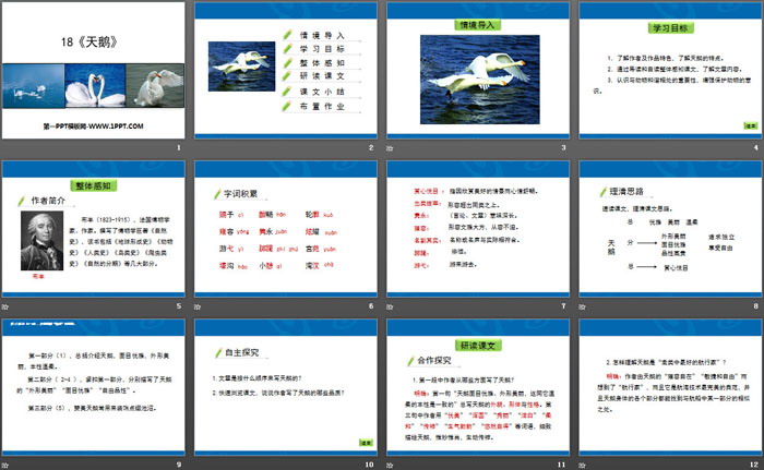 《天鹅》PPT