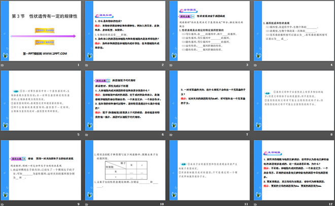 《性状遗传有一定的规律性》PPT