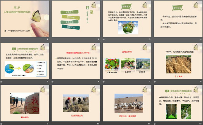 《人类活动对生物圈的影响》PPT课件下载