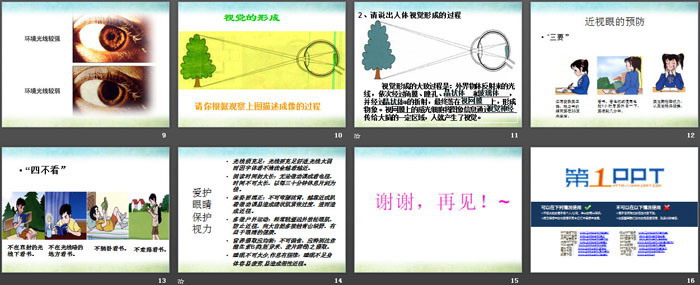 《人体的感知信息》PPT