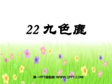 《九色鹿》PPT课件4