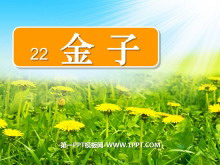 《金子》PPT课件5