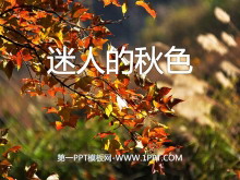 《迷人的秋色》PPT课件4