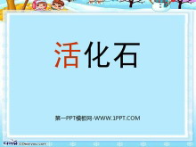 《活化石》PPT课件