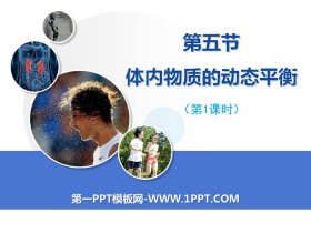 《体内物质的动态平衡》PPT(第一课时)