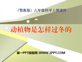 《动植物是怎样过冬的》四季中的变化PPT课件3