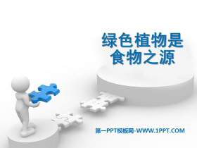 《绿色植物是食物之源》PPT