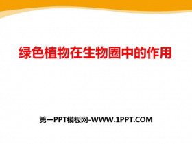 《绿色植物在生物圈中的作用》PPT课件