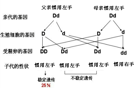 最新518整理和备考ppt讲义教学课件PPT