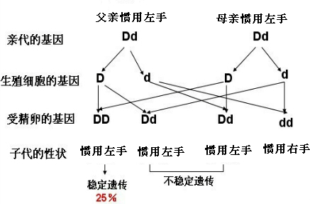 整理和复习ppt课件