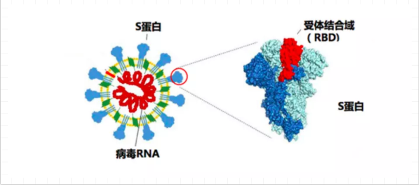 流行性腮腺炎ppt