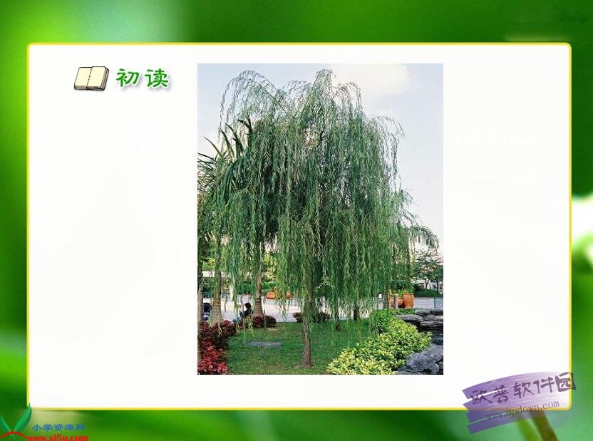 咏柳ppt课件