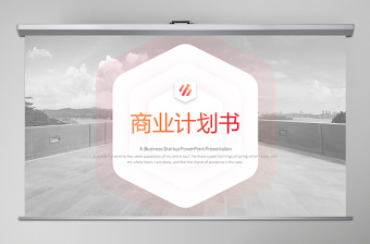 融资路演商业计划书ppt