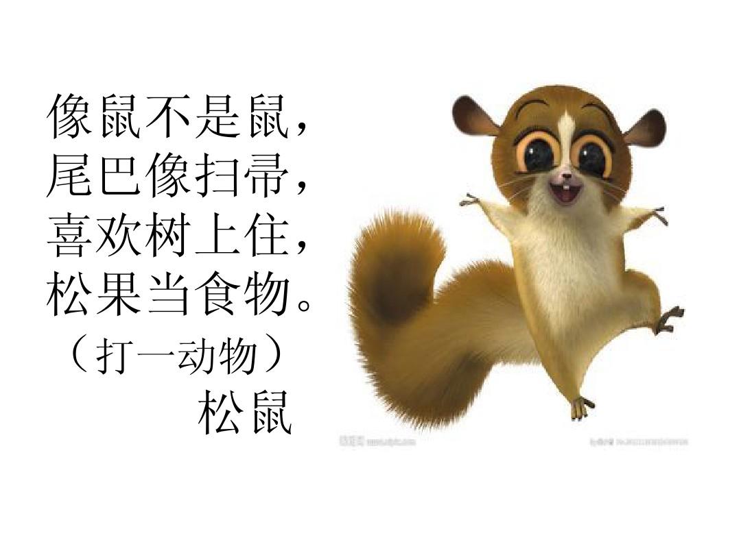 松鼠ppt
