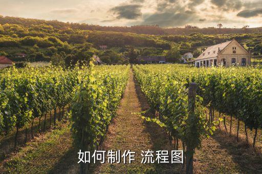 如何制作 流程图