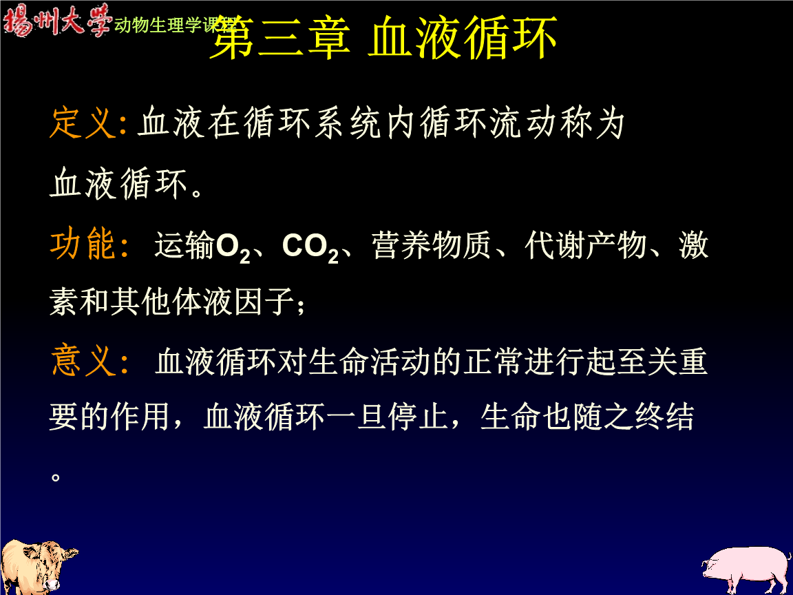 血液循环ppt