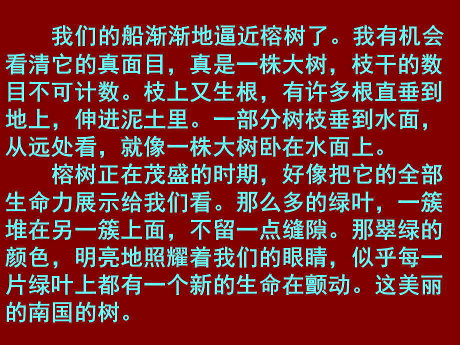 鸟的天堂ppt